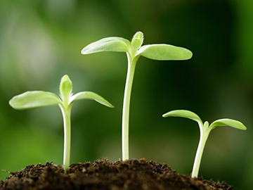 Đánh giá tác động môi trường (ĐTM)